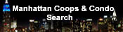 Manhattan Search