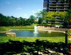 the bay club in bayside