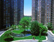 forest hills real estate