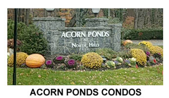 Acorn Ponds Condos townhouses